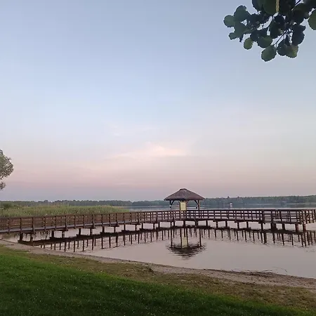 Na Kolonii, Trzy Domki, Nowe, Sala Bankietowa 82m2 Villa Rybno (Dzialdowo)