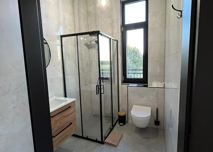 Na Kolonii, Trzy Domki, Nowe, Sala Bankietowa 82m2 Rybno (Dzialdowo)