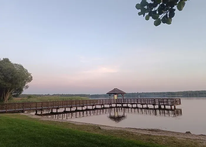 Na Kolonii, Trzy Domki, Nowe, Sala Bankietowa 82m2 Villa Rybno (Dzialdowo)